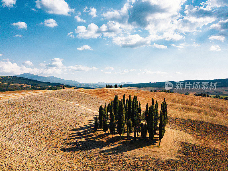 航拍一组在Val d'Orcia，托斯卡纳，意大利的柏树